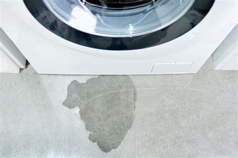 Why Your Tumble Dryer Leaks Water: Causes and Fixes Explained